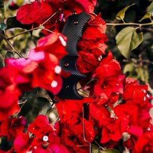 Meet your Posher, Gilbert